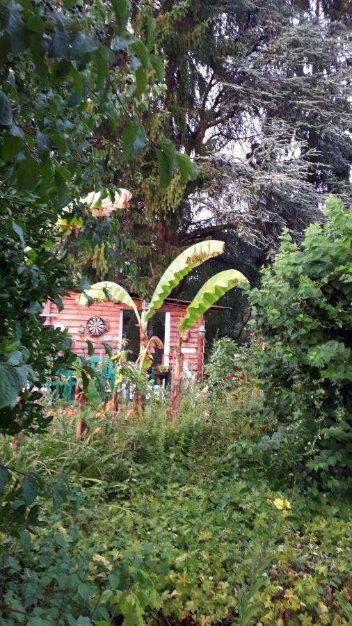 Le Jardin des Merveilles Saint-Pierre-d'Autils Exterior foto