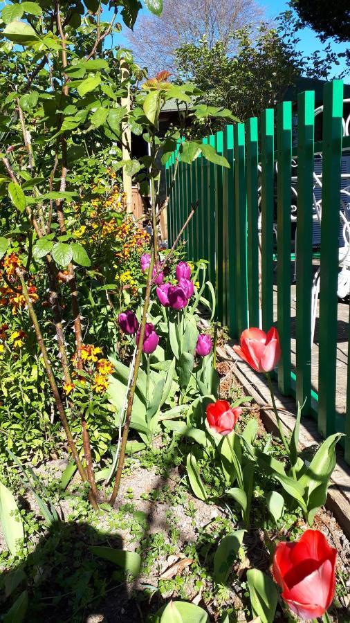 Le Jardin des Merveilles Saint-Pierre-d'Autils Exterior foto